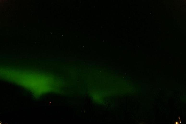 425808_4800296805525_2049440854_n