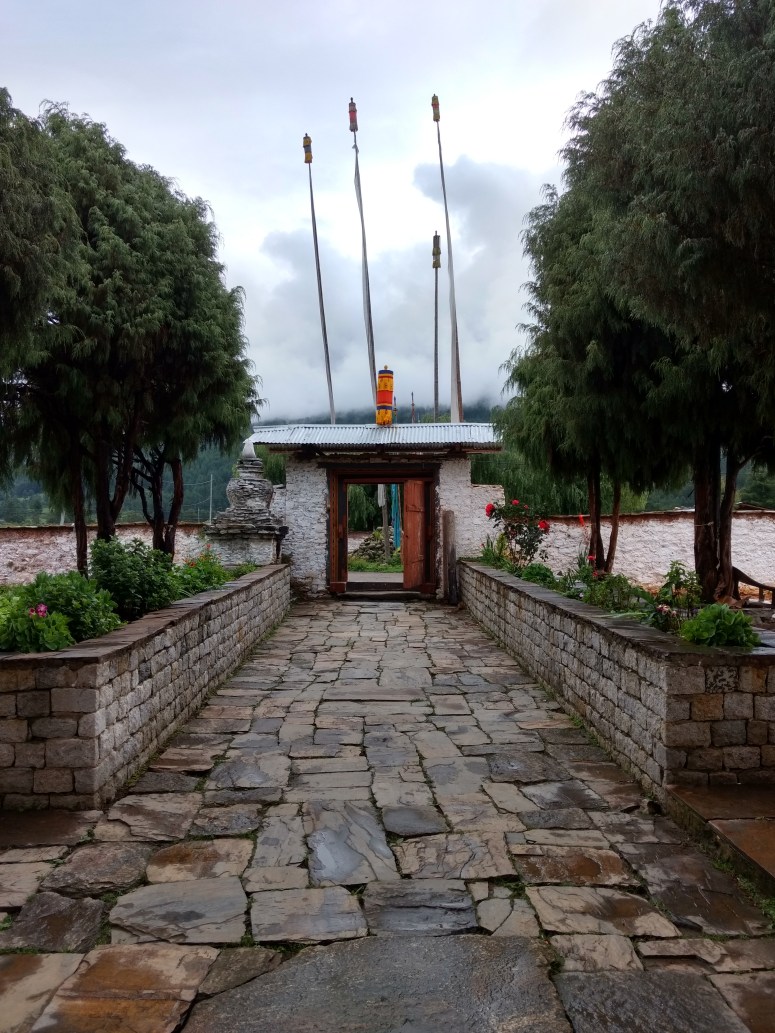 IMG_20160717_081550895_HDR