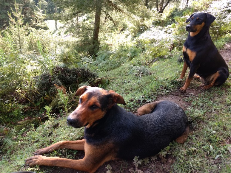 IMG_20160717_163234456_BURST000_COVER_TOP